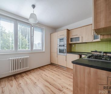 Pronájem bytu 1+1 38 m2 - Fotografie 5