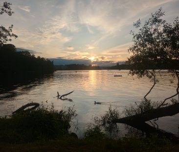 Svartviksslingan, Bromma - Photo 4