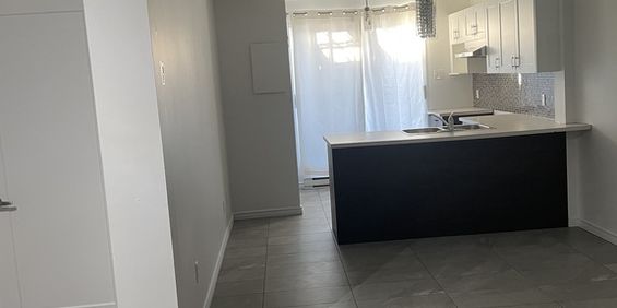 5 1/2 RC Avec Balcon Et Cours Privé - Photo 3