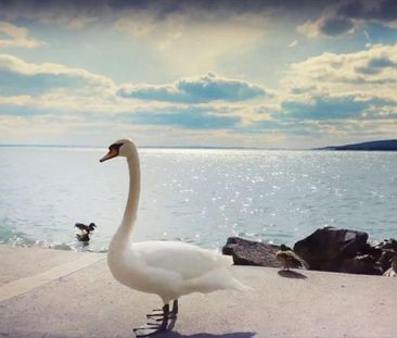 Kiadó újszerű állapotú lakás - Balatonkenese - Photo 2