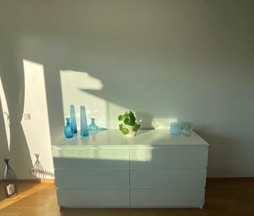 Folkparken, Handen - Photo 2