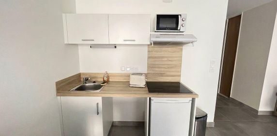 Location Appartement 1 pièce 36m² ALBI 81000 - Photo 2