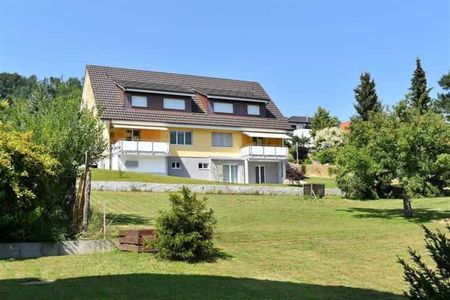 3.5 Zimmer, EG - Photo 4