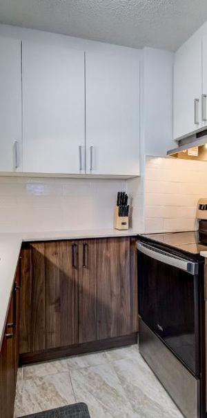 Appartement 3½ à louer – 1 250$/mois 3½ ---- Apartment for Rent – $1,250/month - Photo 1