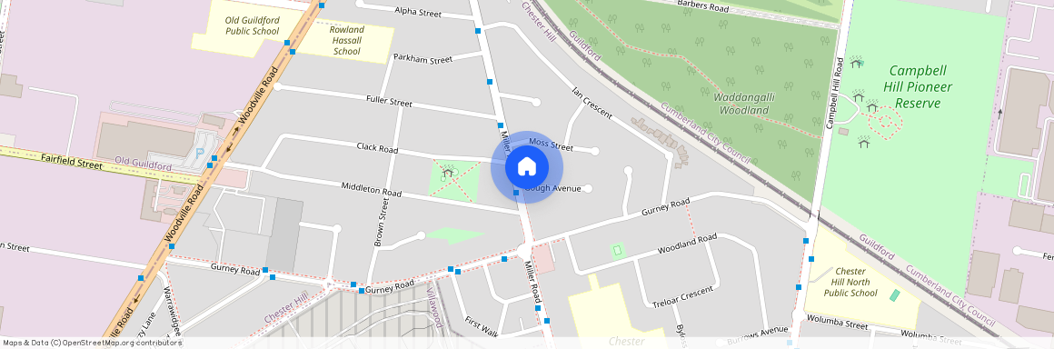 61 Miller Road, Chester Hill 2162, New South Wales