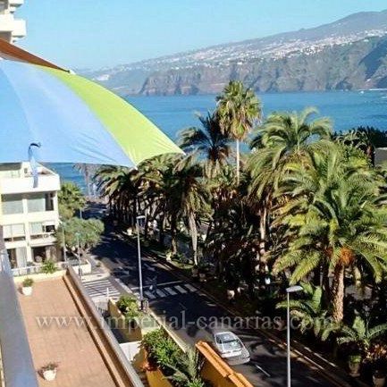 Studio for rent near Martianez beach - Photo 1