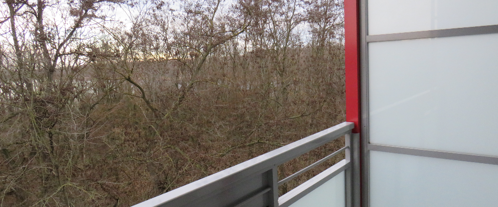 Einzugsfertige 2 Raum- Wohnung mit Balkon - Foto 1