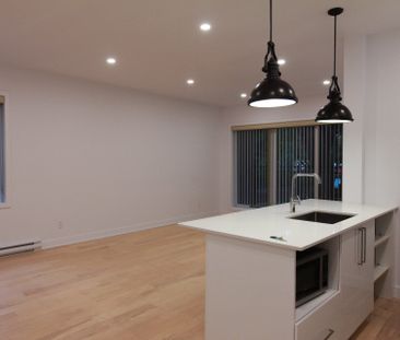 1620 Rue Dézéry, Montréal (Mercier, QC H1W - Photo 6