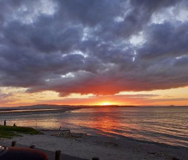 Organic fruit and eggs 'sleepout' by the sea - Photo 1