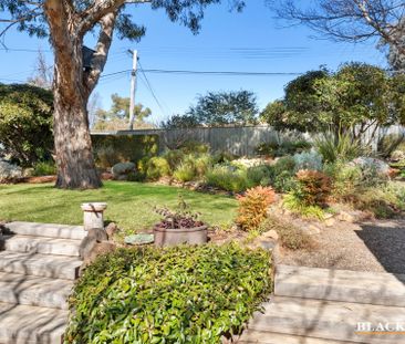 14 Jelbart Street, Mawson ACT 2607 - House For Rent | Domain - Photo 5