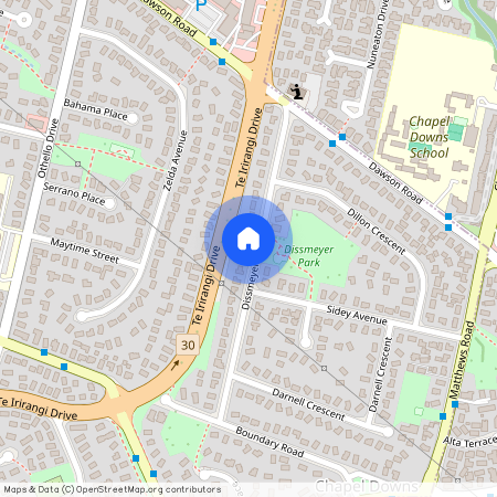 27 Dissmeyer Drive, Clover Park, Manukau City