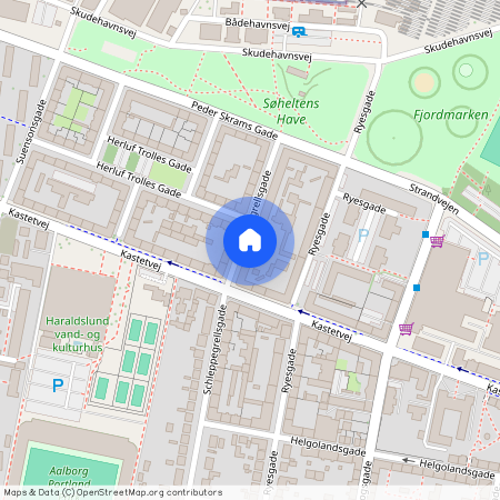 Schleppegrellsgade 66, 3.tv, Aalborg