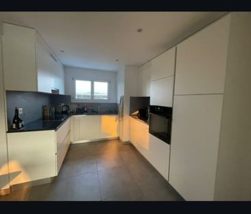 2.5 Zimmer - Photo 2