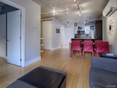 1450 Rue Parthenais, app.406, H2K 3R9, H2K 3R9, Montréal - Photo 5