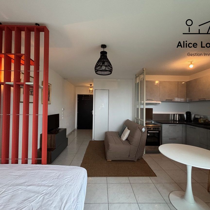 Location Appartement 1 pièce 29m² EVIAN LES BAINS 74500 - Photo 1