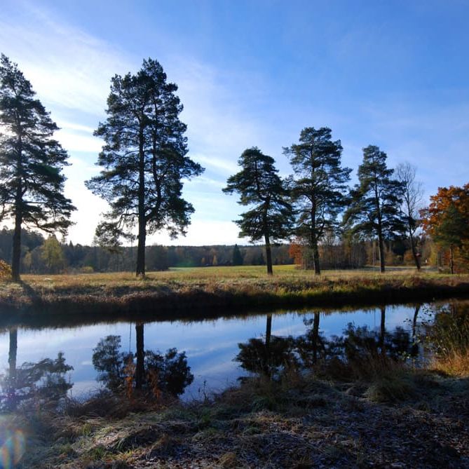 Naturnära nymålad trea en trappa upp - Foto 1