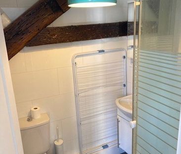 MEUBLE. STUDIO 20 M² SUR COUR. - Photo 4