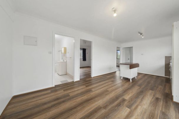 2/502 Pacific Highway, - Photo 1