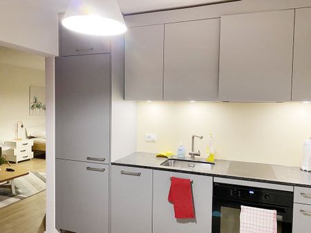 Appartement meublé confortable de 1,5 pièce avec vue sur la ville à Zurich - Photo 2