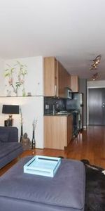 Downtown Furnished 1Bd/1Ba - Photo 3