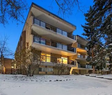 All Utilities Included | Cat Friendly | No Pet Fee | In-Suite Laund... - Photo 1