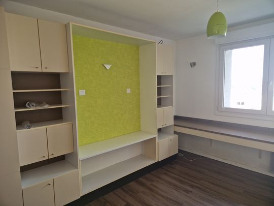 Location Appartement 1 pièce 19m² VANDOEUVRE LES NANCY 54500 - Photo 1