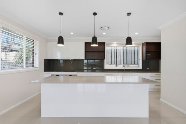 51 Stayard Drive, Bolwarra Heights NSW 2320 - Photo 1