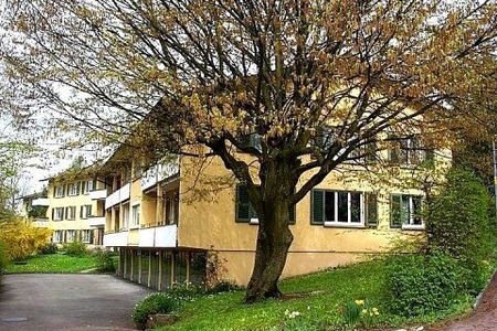 In Zurich-Höngg in a quiet location - limited until 30.09.2026! - Photo 2