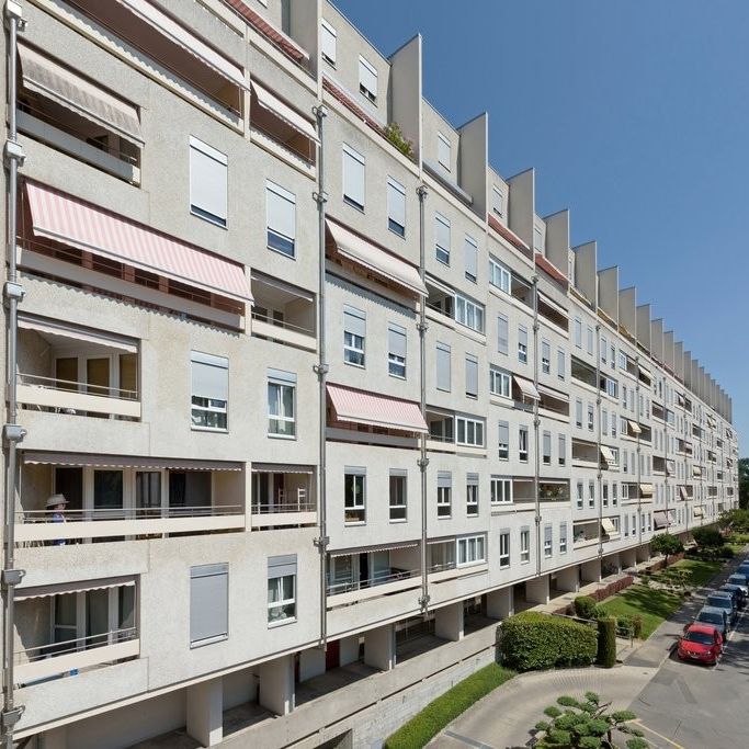 Quartier de la Gradelle - Chêne-Bougeries - Photo 1