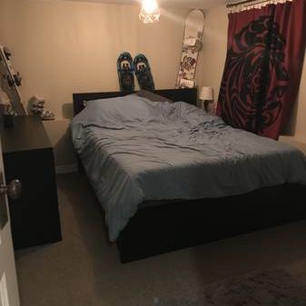 Centrally located 1 Bedroom Basement Suite - Photo 3