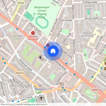 Chapter Street, Pimlico