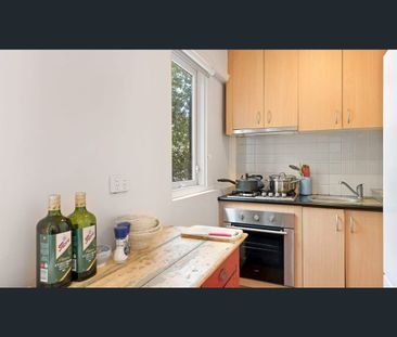 Tucked-Away 1 Bedroom Gold Street Gem - Photo 5