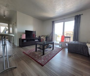 3½ à louer Secteur Université & Mont-Bellevue, rue Thibault - Photo 1