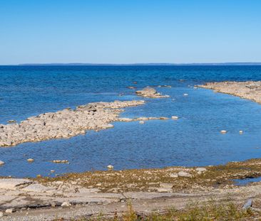 For Lease - 35 St. Clair Street, Collingwood, Ontario - Photo 6