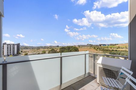 Rose Garden Supreme - Photo 5