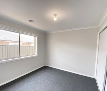 Family Living in Jackass Flat! - Photo 1