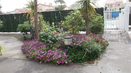 Location Appartement 1 pièce 23m² - Photo 5