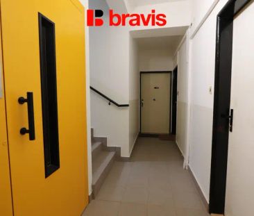 Pronájem bytu 1+1, nezařízený, Brno - Štýřice, ul. Vídeňská - Fotografie 1
