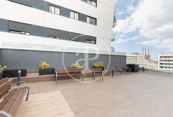 Flat for rent in Canal de Badalona