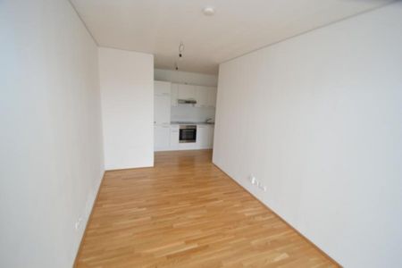 Jakomini – 52 m² – 3 Zimmer – großer Balkon — Erstbezugscharakter – WG fähig - Foto 2