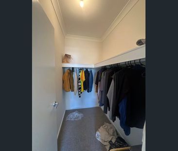 Family Home in a Peaceful Location Leppington 4 bedroom House - Photo 6