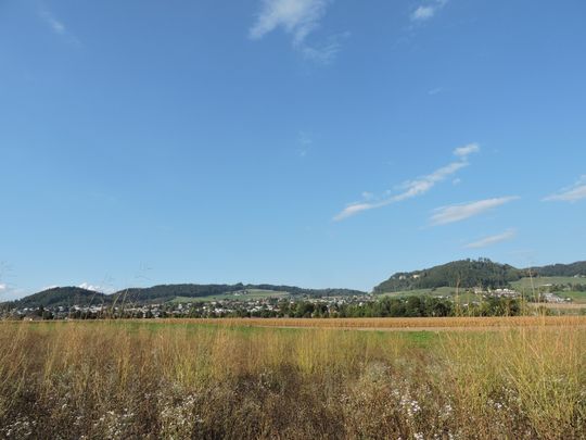 Wohnen im grünen Lindendorf, Ostermundigen - Foto 1