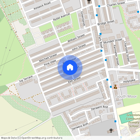 Poplar Street, South Moor