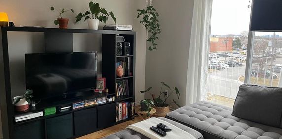 Ste-Catherine 4 1/2 près des services - Photo 2