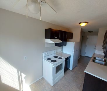 Beautiful One Bedroom Units! - Photo 4