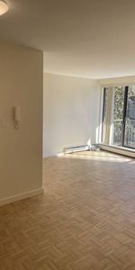 Newly Renovated Large One Bedroom (Vancouver) WITH PROMOTION!!! - Photo 3