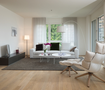 AESCHBACHQUARTIER - MODERNE WOHNUNG NÄHE BAHNHOF - Photo 5