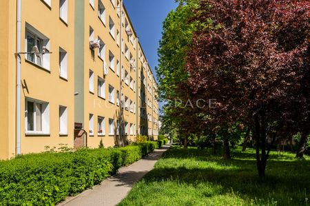 Szykowne mieszkanie 3-pokojowe | Na Kozłówku - Photo 2