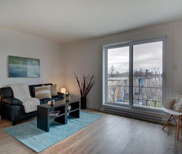 Appartement 3 ½ à louer Limoilou mars 2026 - Photo 1