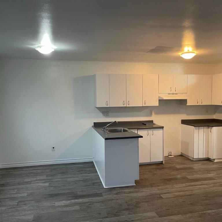 Beau 4 1/2 libre maintenant à Ste-Catherine (rive-sud de Mtl) - Photo 1